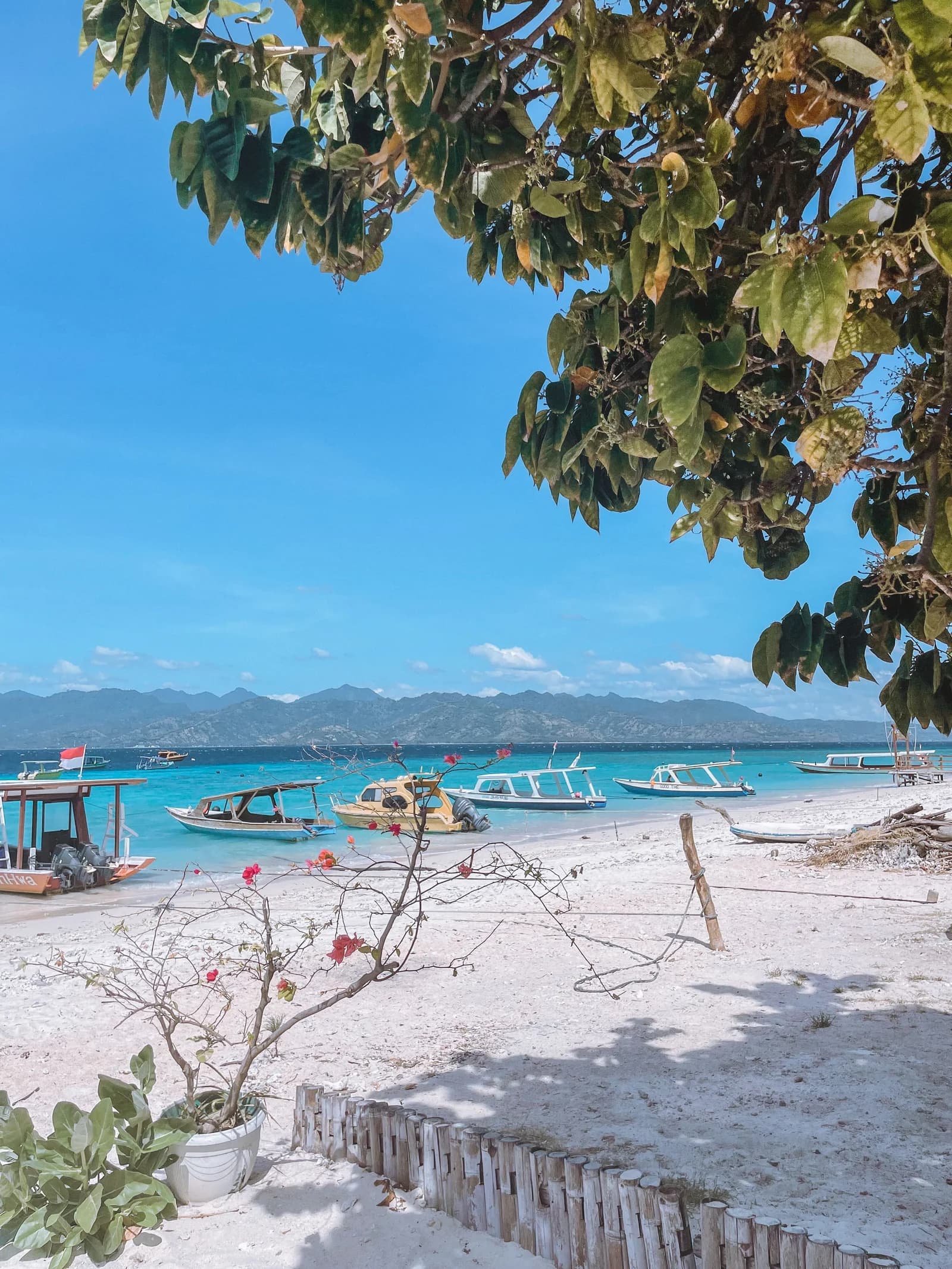 Gili Trawangan Snorkeling Tour